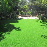 <a href="/הקמת-גינה-כפר-סבא/">תמר מכפר סבא</a>