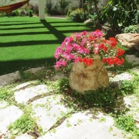 <a href="https://aravot.co.il/%d7%94%d7%a7%d7%9e%d7%aa-%d7%93%d7%99%d7%a8%d7%aa-%d7%92%d7%9f-%d7%91%d7%97%d7%95%d7%9c%d7%95%d7%9f/">כפיר מחולון דירת גן גדולה</a>