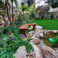 עיצוב גינה צורית מהרצליה