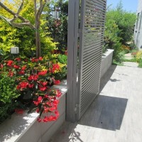 <a href="https://aravot.co.il/%d7%92%d7%99%d7%a0%d7%94-%d7%a9%d7%9c-%d7%a8%d7%95%d7%a0%d7%99-%d7%9e%d7%a8%d7%a2%d7%a0%d7%a0%d7%94/">רוני מרעננה השביל לצד הגינה הגדולה</a>